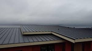 Best Solar Panel Roofing Installation  in Simonton Lake, IN